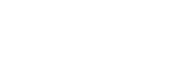 Logo Velstima Blanc